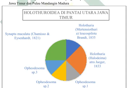 Tabel 4.1 Daftar Spesies Holothuroidea yang Didapatkan di Perairan Pantai Utara  Jawa Timur dan Pulau Mandangin Madura 