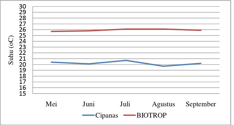 Gambar 2. Rata-rata Temperatur Bulanan di Dua Agroekosistem 