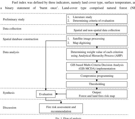 Fig. 1. Flow of analysis 