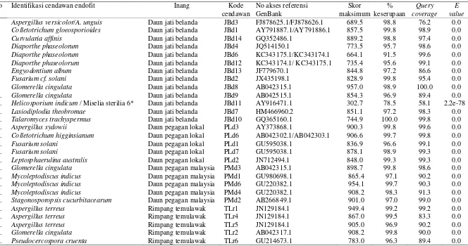 Tabel 3  Identifikasi molekuler cendawan endofit asal organ fungsional jati belanda, pegagan lokal, pegagan malaysia, dan temulawak berdasarkan ITS1-5.8S-ITS2 