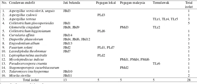 Tabel 4  Keragaman dan penyebaran cendawan endofit asal organ fungsional jati belanda, pegagan lokal, pegagan malaysia, dan temulawak berdasarkan                         identifikasi molekuler menggunakan primer ITS1/ITS4, ITS5/ITS3, atau ITS3/NL4 