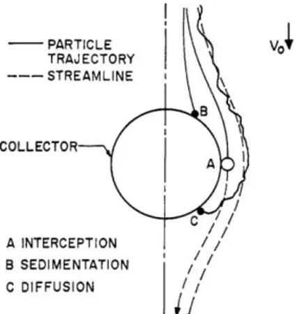 Gambar 2. Mekanisme transportasi dasar dalam penyaringan air 