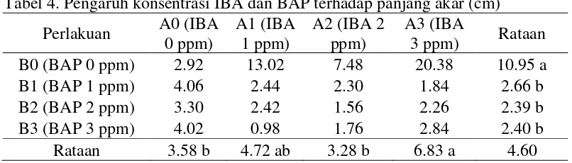 Tabel 4. Pengaruh konsentrasi IBA dan BAP terhadap panjang akar (cm)  