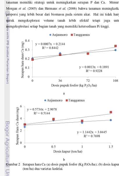 Gambar 2  Serapan hara Ca (a) dosis pupuk fosfor (Kg P2O5/ha); (b) dosis kapur 