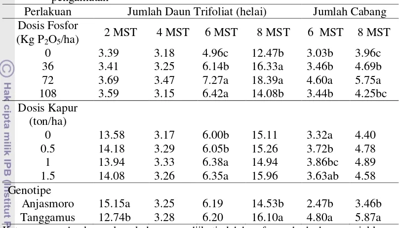Tabel 20 Pengaruh pupuk fosfor, pupuk kapur dan genotipe terhadap rata-rata 