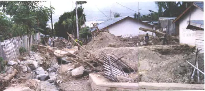 Gambar 4. Banjir Bandang di Desa Kalora dan Silae, Kota Palu 