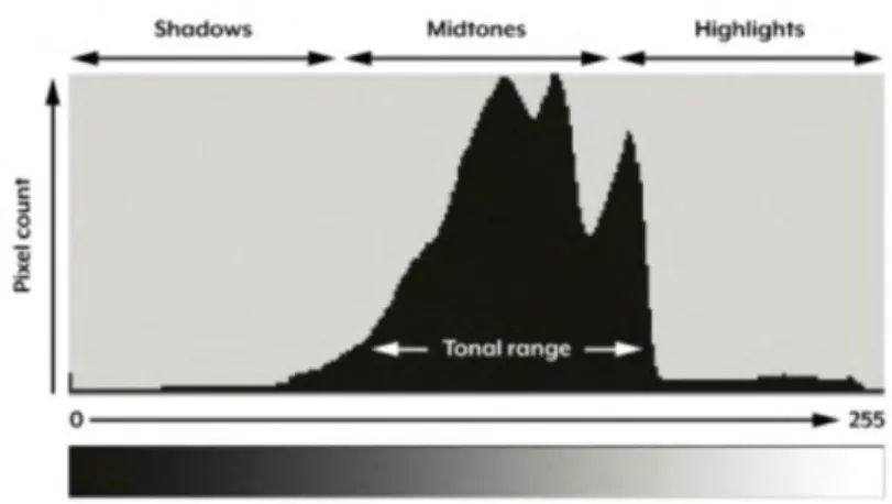 Gambar 2.9. Grafik Histogram  (McHugh, 2019)
