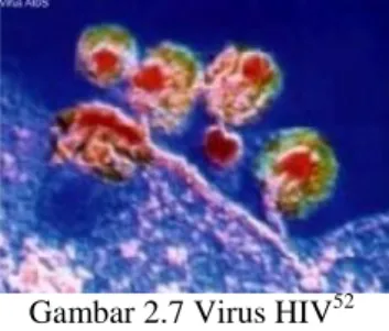 Gambar 2.7 Virus HIV 52