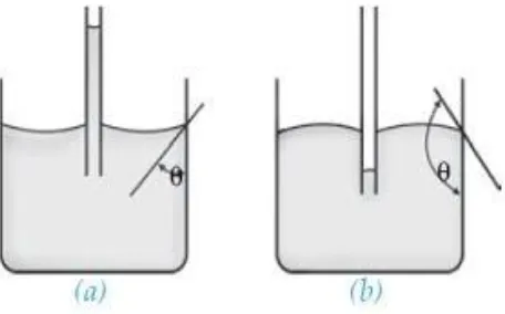 Gambar 2.5 a)Permukaan air yang naik menyentuh dinding gelas membentuk cekung sehingga dikatakan membasahi gelas dan b)Permukaan raksa yang turun menyentuh dinding gelas membentuk cembung sehingga dikatakan tidak membasahi gelas