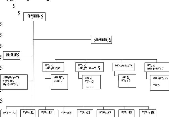Gambar 4.1  Struktur Organisasi  5.  Struktur Organisasi  