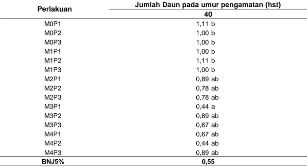 Tabel  2.  Interaksi  antara  komposisi  Media  Tanam  dan  Interval  penyiraman  terhadap  jumlah  daun tanaman Kelapa Sawit