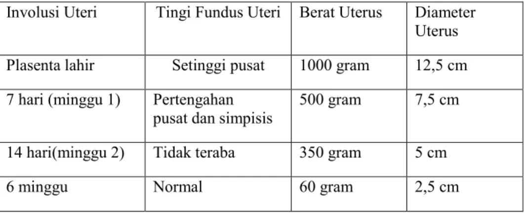 Tabel 2.9 Perubahan – Perubahan Normal pada Uterus Selama  Postpartum 
