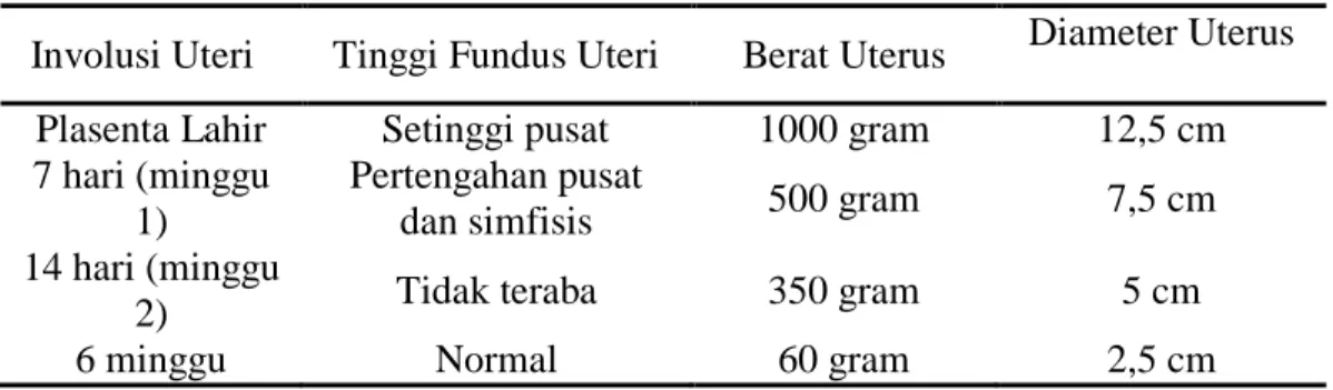 Tabel 2.6 Involusi Uterus 