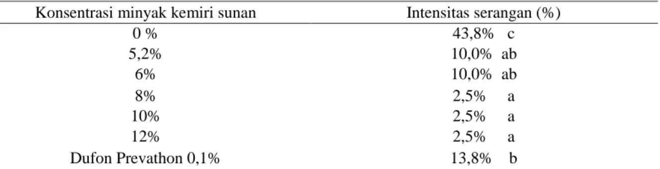 Tabel 2. Pengaruh konsentrasi minyak kemiri sunan terhadap intensitas serangan PBKo pada 3 JSA  sampai dengan 120 JSA