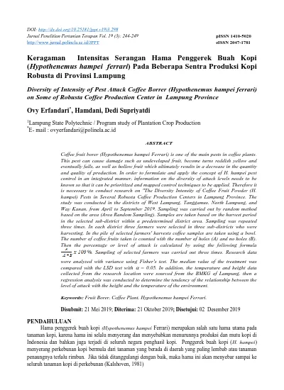 Keragaman Intensitas Serangan Hama Penggerek Buah Kopi (Hypothenemus ...