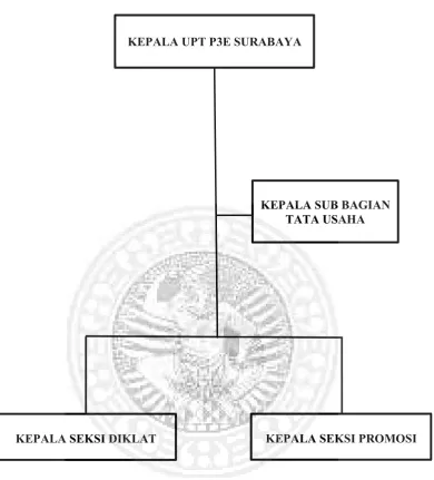 Gambar 2.1 Struktur Organisasi UPT P3E Surabaya Dinas 