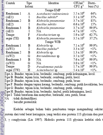 Tabel 3  Dua jenis bakteri yang dominan dari EMP dan WJB yang tumbuh pada media PCA 