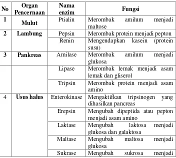 Tabel 2.1 Organ Pencernaan, Enzim dan Fungsinya 
