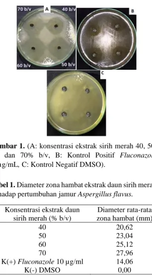 Tabel 1. Diameter zona hambat ekstrak daun sirih merah  terhadap pertumbuhan jamur Aspergillus flavus