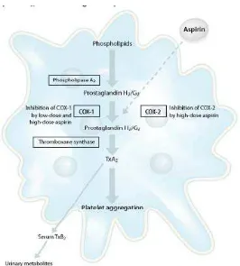 Gambar 3. Farmakologi Aspirin 
