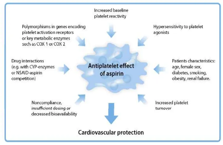 Gambar 4. Efek antiplatelet aspirin terhadap proteksi kardiovaskuler Dikutip dari: Grove EL