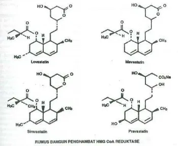 Gambar 5. Rumus Bangun HMG-CoA Reduktase Inhibitor Dikutip dari: Suyatna FD, Handoko T