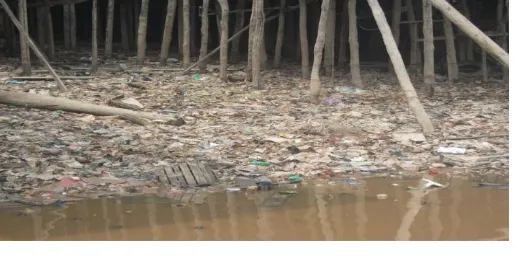 Gambar 2.6 Pencemaran air di sungai 46