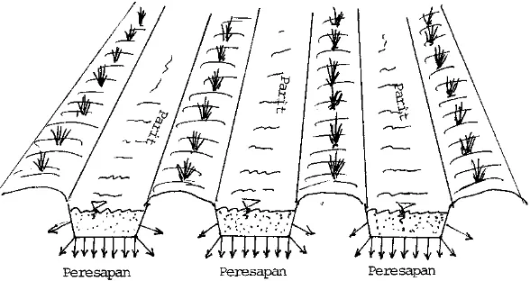Gambar 5.4 : Pengisian Air Tanah Buatan Dengan Metoda Parit (Furow Method). 