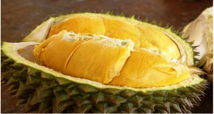 Gambar 1. Buah Durian.