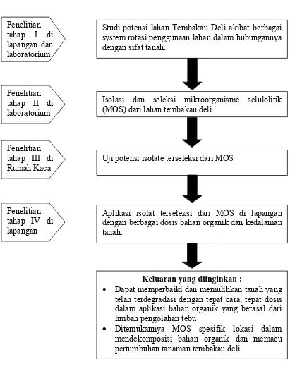 GAMBAR KERANGKA TAHAPAN PENELITIAN  