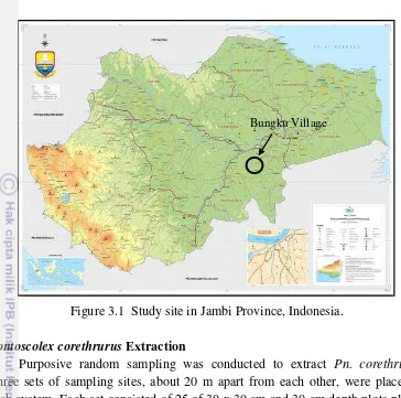 Figure 3.1  Study site in Jambi Province, Indonesia. 