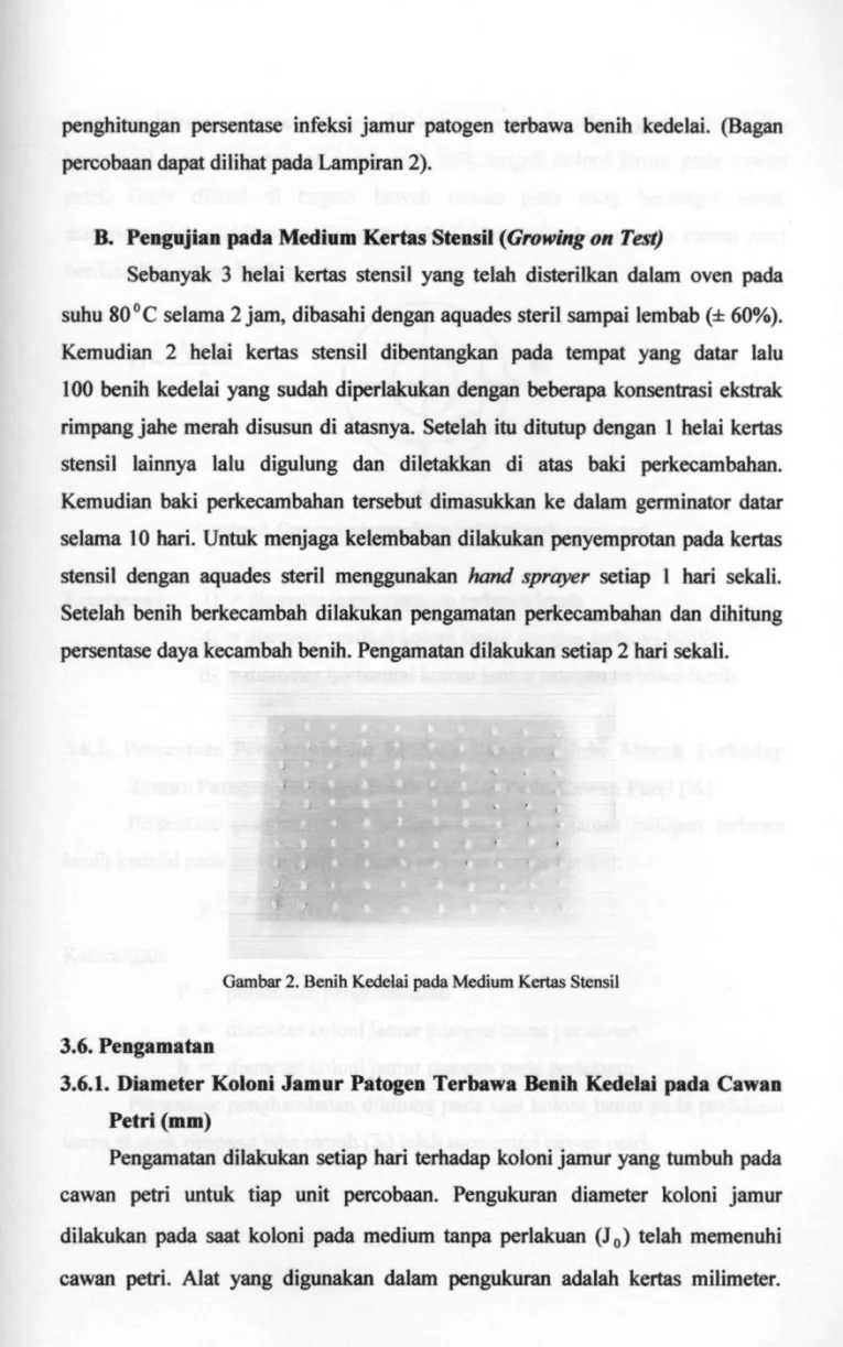 Gambar 2. Benih Kedelai pada Medium Kertas Stensil 