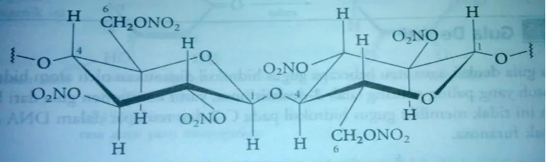 Gambar 2.2 segmen dari molekul selulosa asetat 