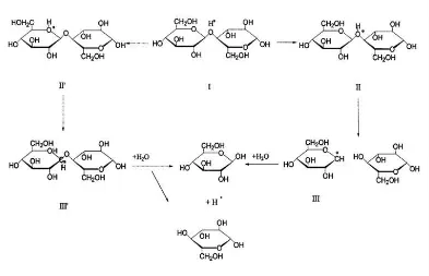 Gambar 4.16 Visualisasi mekanisme reaksi hidrolisis dengan katalis 