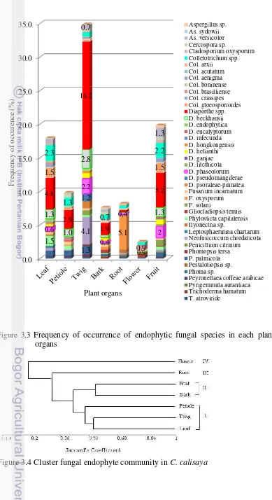 Figure 3.3 Frequency of occurrence of endophytic fungal species in each plant 