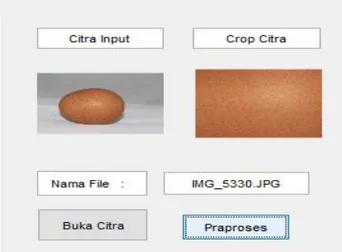 Gambar 3. Warna Kerabang Telur Ayam Ras 