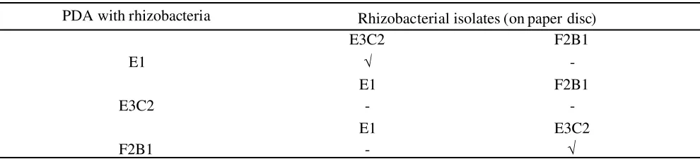 Table 5. Compatibility of rhizobacterial isolates selected