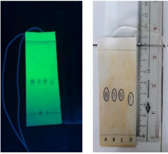 Gambar 1. Hasil Kromatogram fraksi n-heksan, etil asetat, dan air dari ekstrak metanol buah 