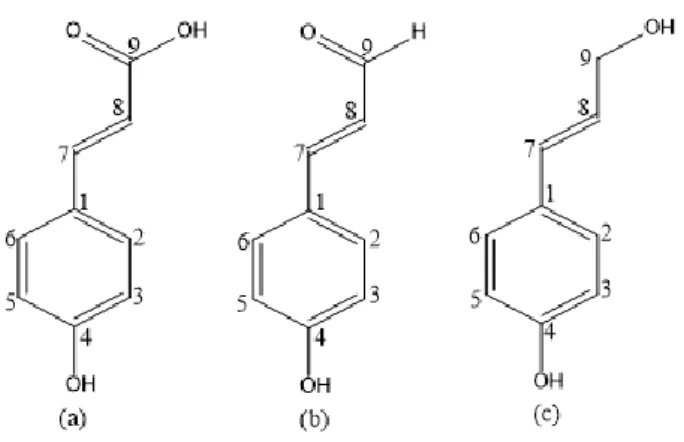 Gambar  2.8  (a)  Struktur  Asam  p-kumarat;  (b)  Struktur  p-koumaril  Aldehid;                        