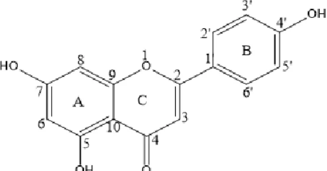 Gambar 2.12 Struktur Flavonoida 