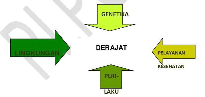 Gambar 1 : Faktor Determinan Derajat Kesehatan 