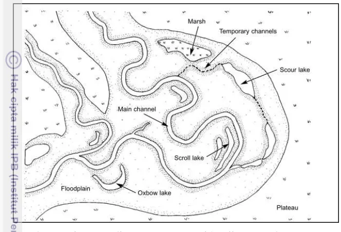 Gambar 2 Diagram aliran utama sungai banjiran (Welcomme 2001) 