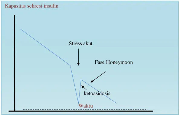 Gambar 1. Perjalanan Klinis Diabetes Mellitus dengan Fase Honeymoon     (Dimodifikasi dari Powers