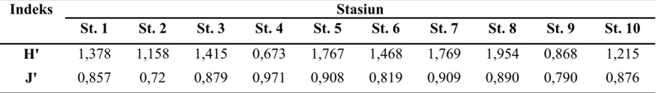 Tabel  3.  Indeks  keanekaragaman  (H)  dan  kemerataan  (J ’)  pada  tiap  stasiun  sampling 
