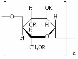 Gambar 8. Gambar struktur kimia Na-CMC (Anonymous, 2000) 