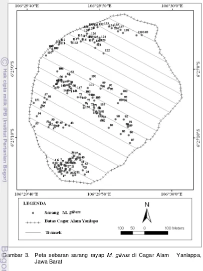 Gambar 3.  Peta sebaran sarang rayap M. gilvus di Cagar Alam   Yanlappa, 