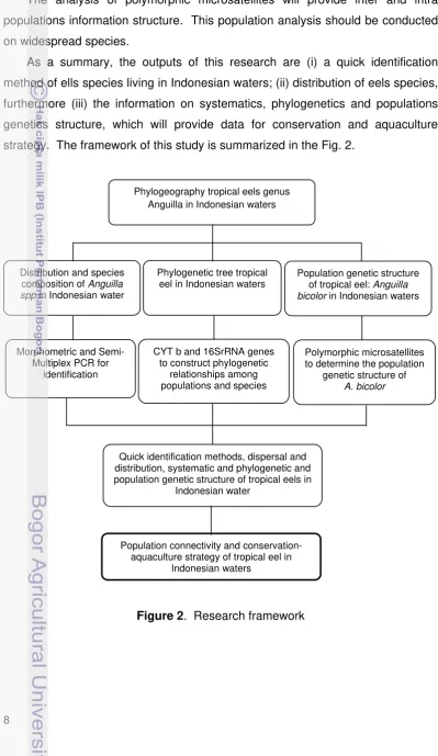 Figure 2.  Research framework  