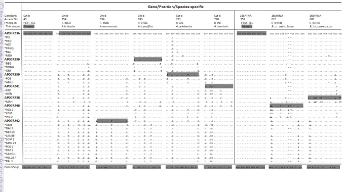 Table 1    Position of nine species-specific primers for semi-multiplex PCR on cytochrome b and 16s rRNA genes respectively
