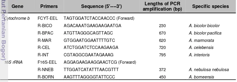 Table 2    Species-specific primer sequences for semi- multiplex PCR, and PCR product lengths expected for the seven Anguilla species and subspecies  