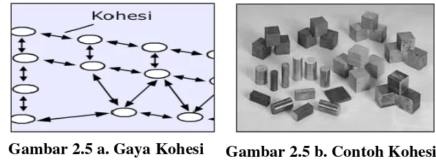 Gambar 2.5 b. Contoh Kohesi 